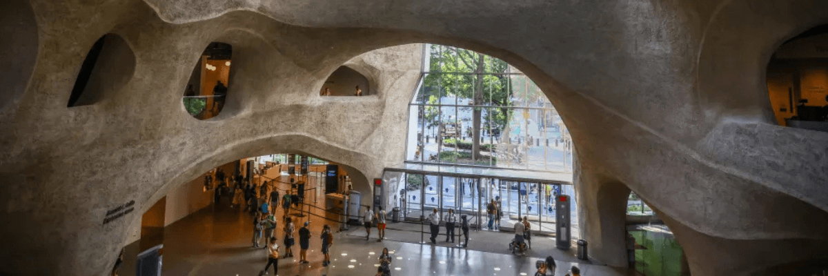 American Museum of Natural History hours