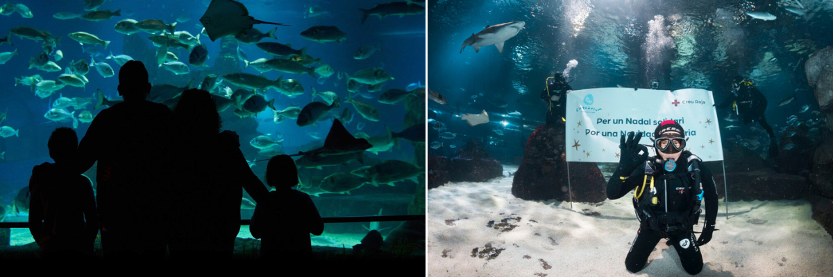 Tips for visiting Barcelona Aquarium