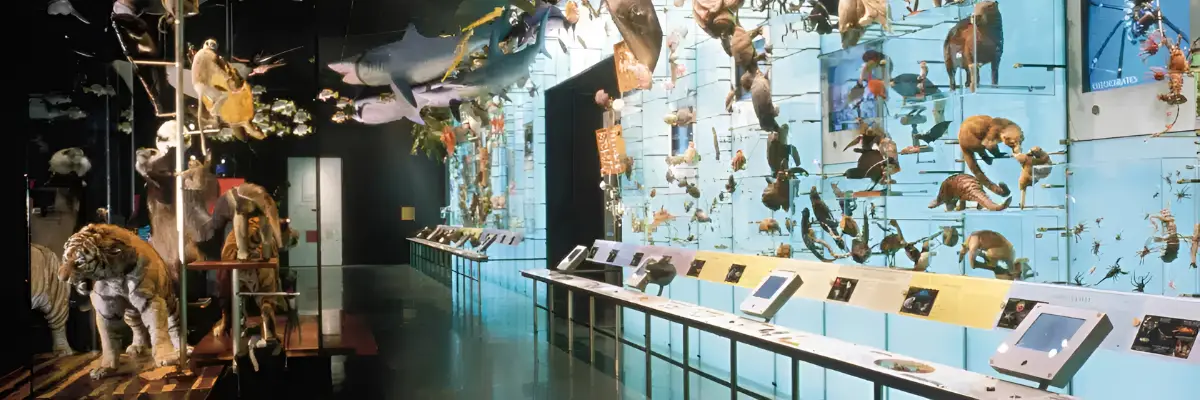 Biodiversity and Environmental Halls
