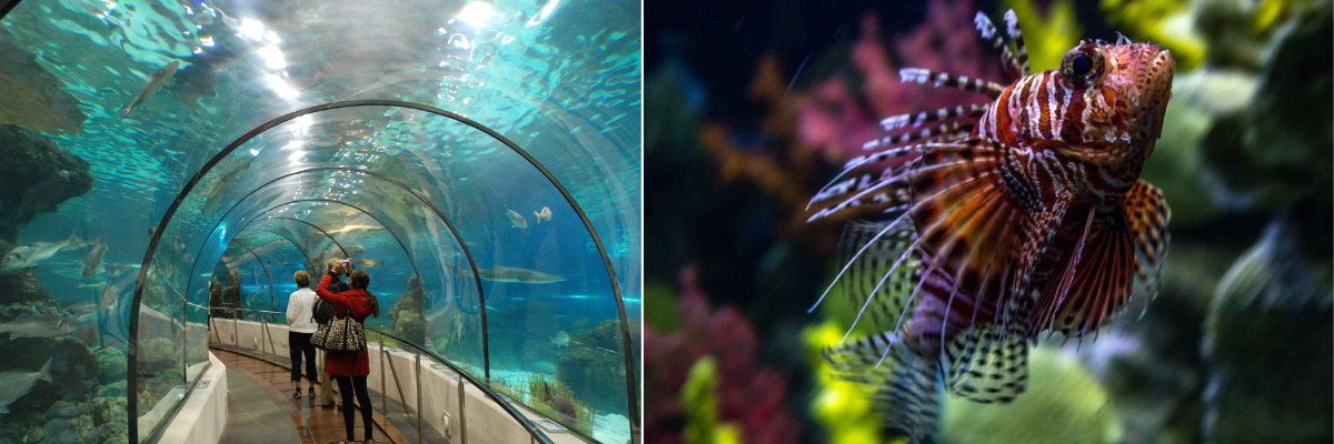 Barcelona Aquarium’s Tropical Aquarium