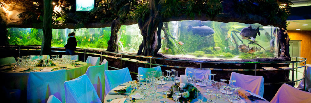 Aquarium Barcelona Events