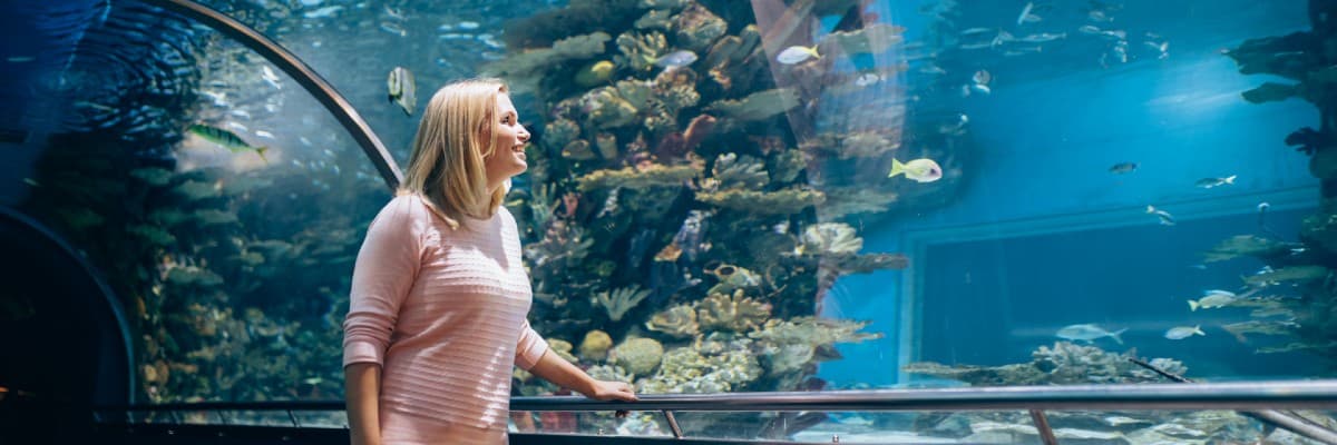 Lost Chambers Aquarium Dubai New