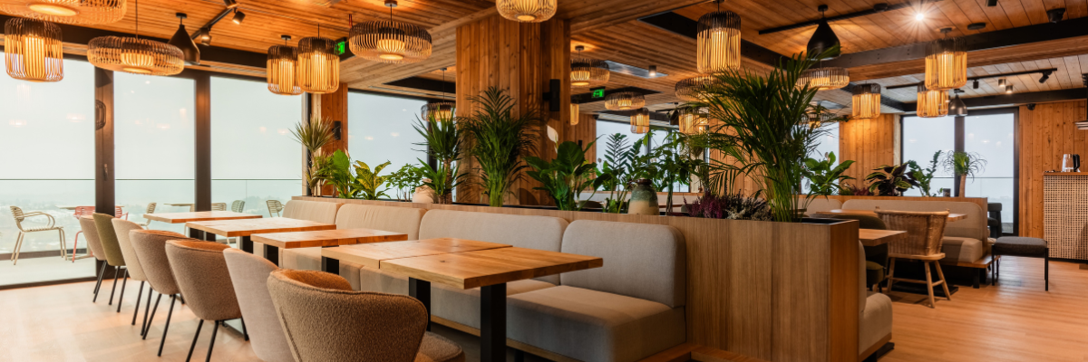 Restaurants Near Bran Castle new