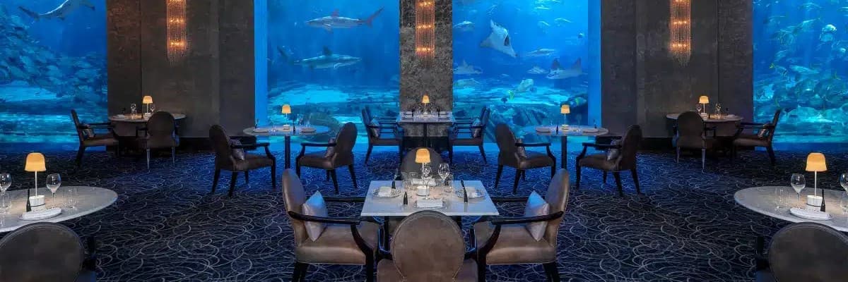 aquaventure waterpark dineout New