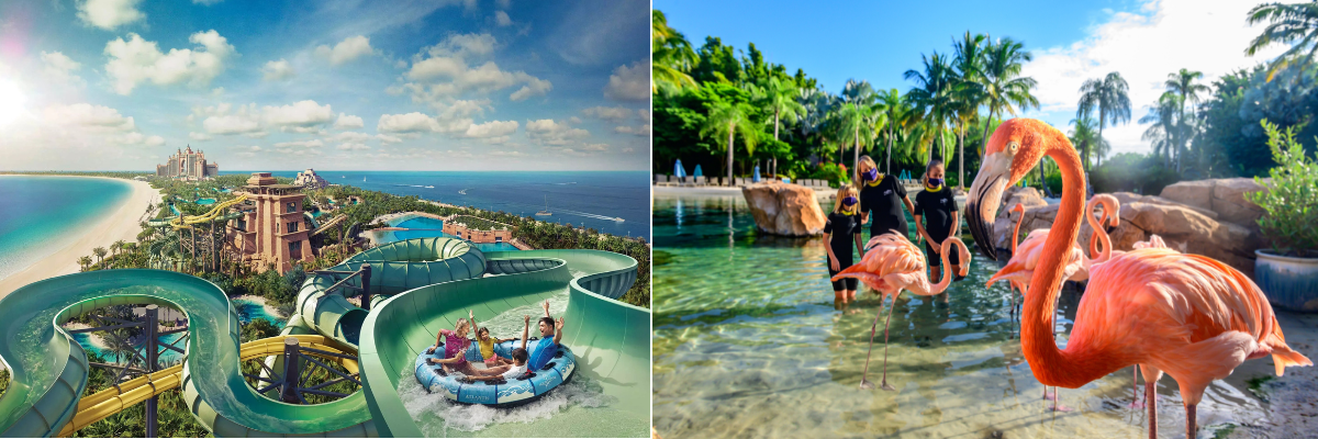 Aquatica vs Discovery Cove Orlando NEw