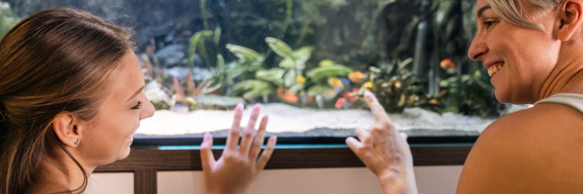 Tips for Visiting Aquatica New