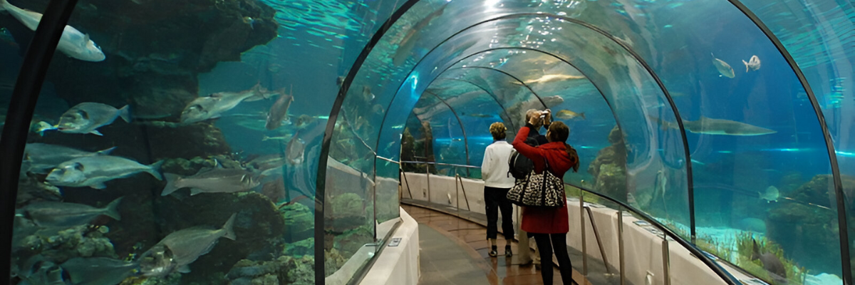 Top Tickets for Aquarium Barcelona