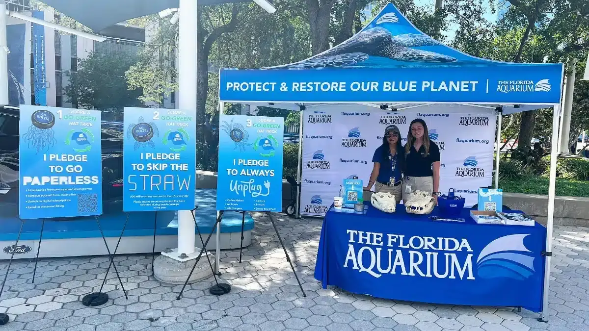 10 Tips for Visiting Florida Aquarium|Comfortable Clothing