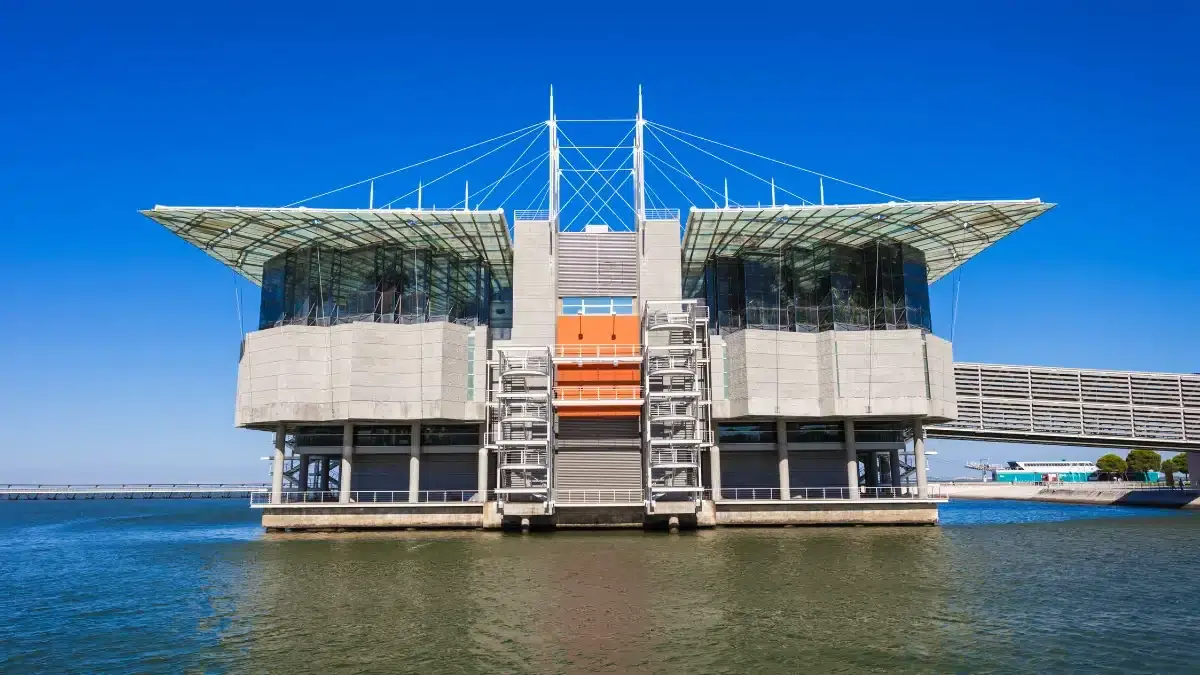 Best Time to Visit Lisbon Oceanarium