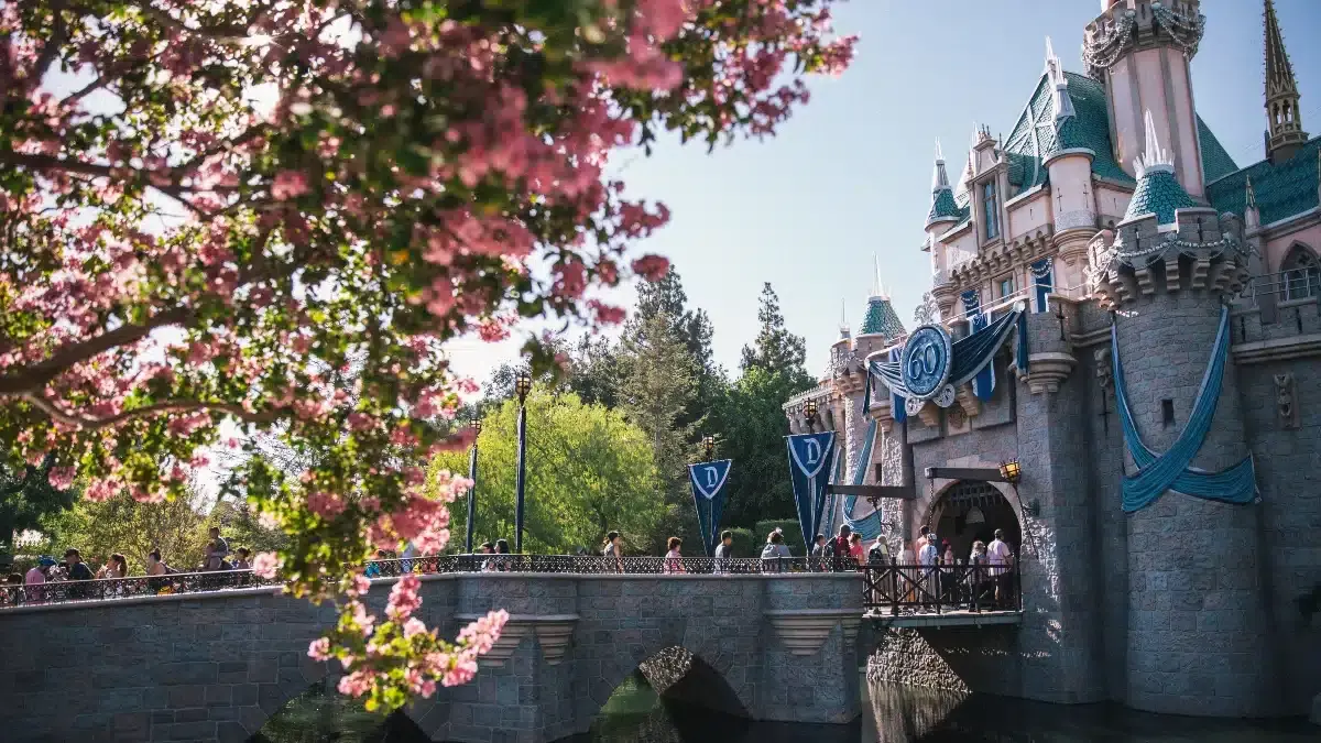 Disneyland California opening hours