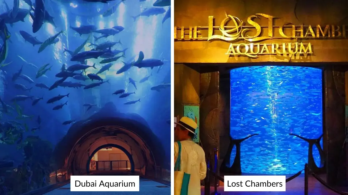 Dubai-Aquarium-vs-Lost-Chambers-c