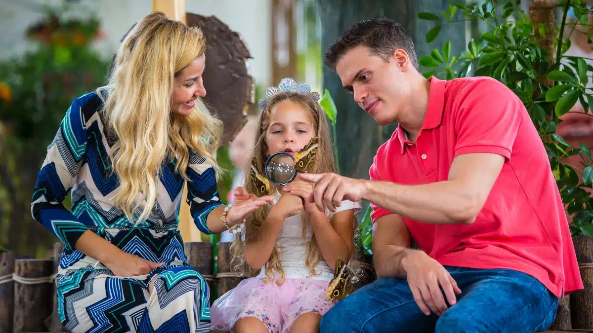 Dubai Butterfly Garden tickets