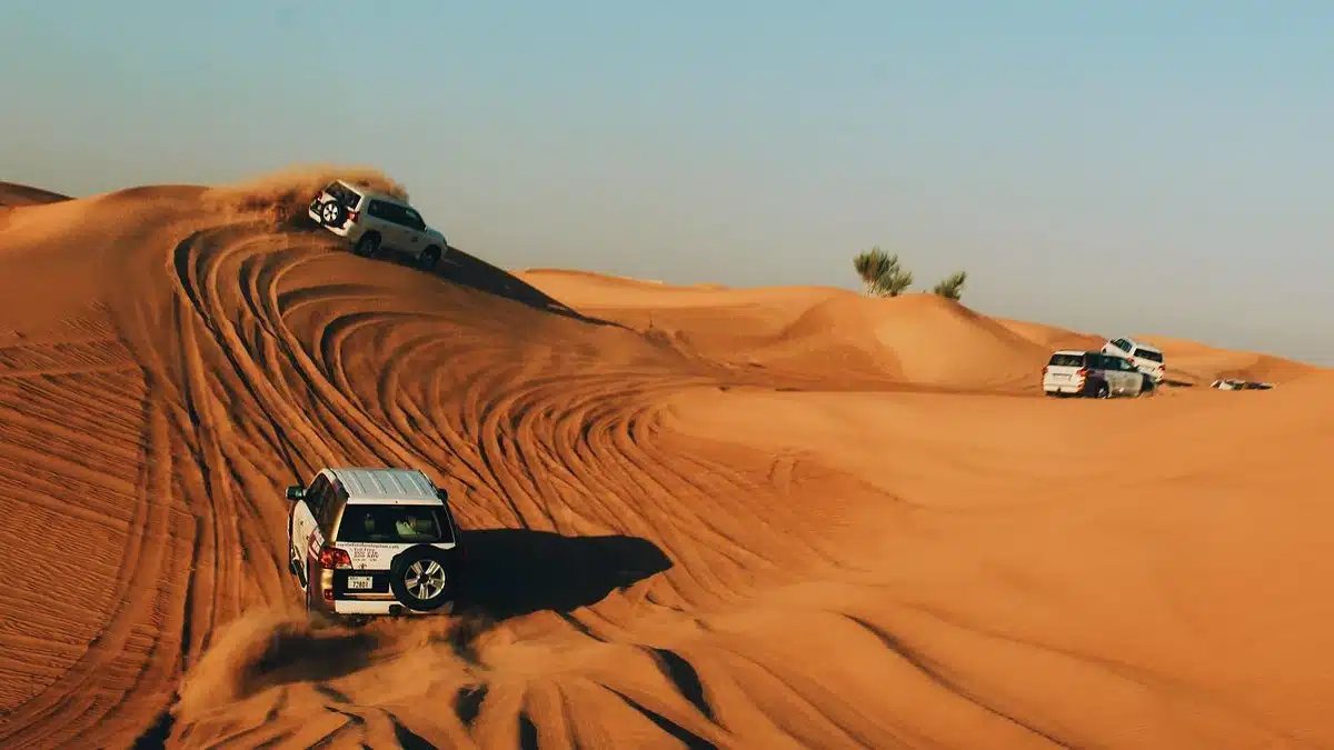 Dubai Desert Safari Timings|overnight desert safari|Best timing for dubai desert|Evening Safari Timings|Morning Desrert safari