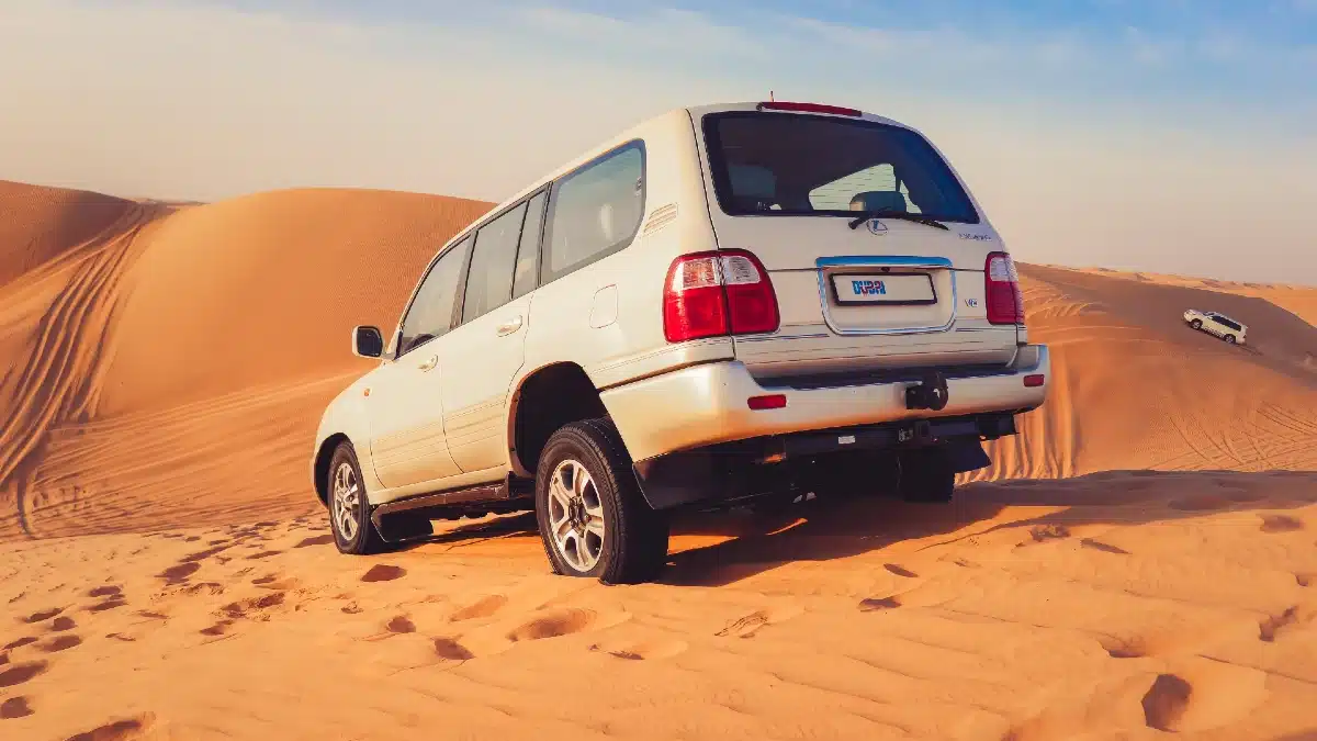 Dubai Desrt safari|Red Dune Safari