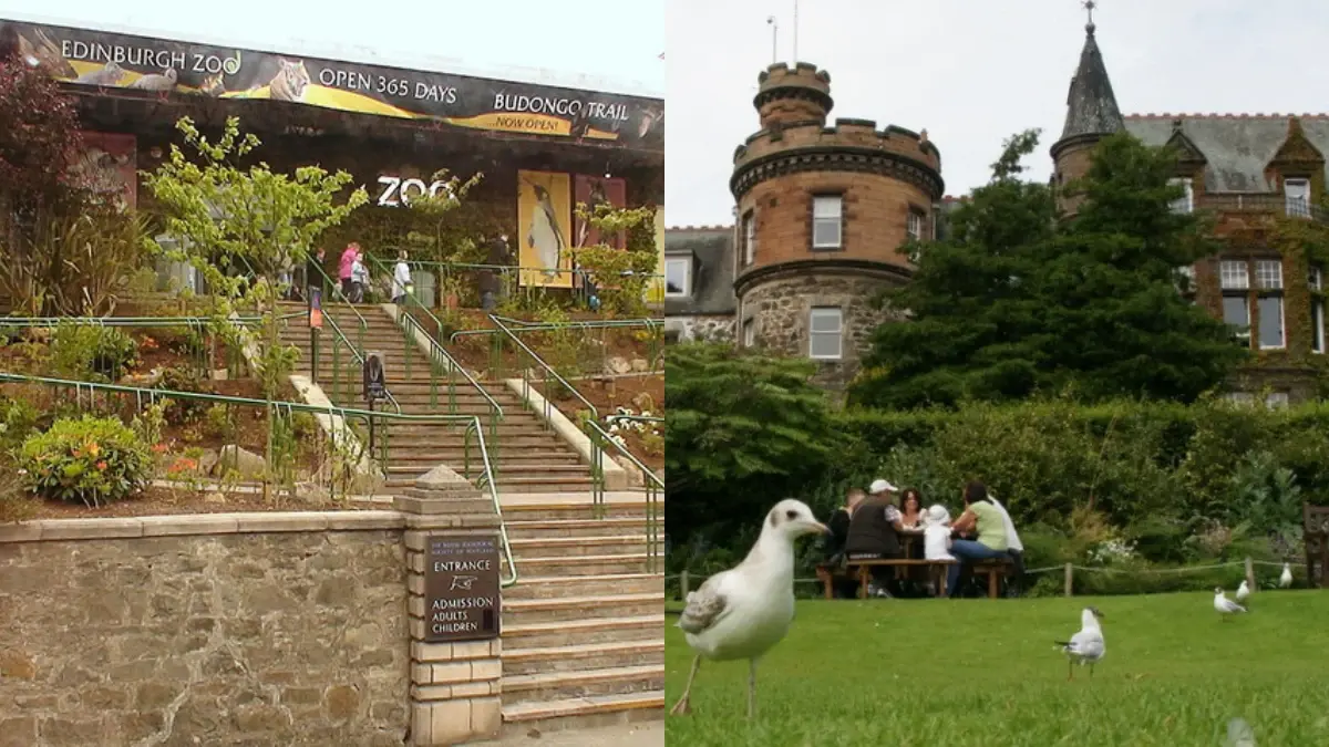 Edinburgh zoo|