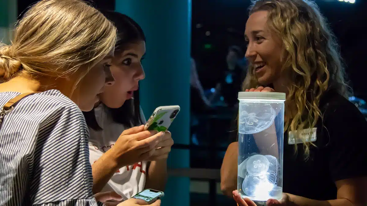 Events in Florida Aquarium|Evening Tide Talk|Field Trips|AquaTots