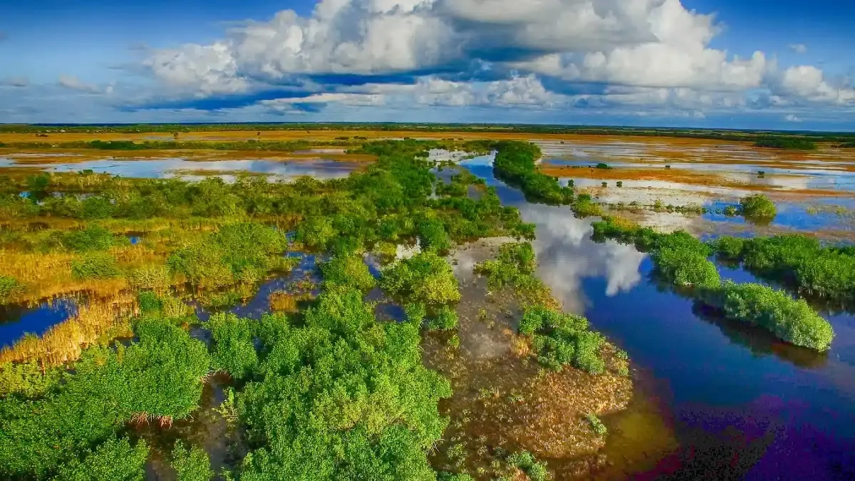 Everglades National Park Nature Trails