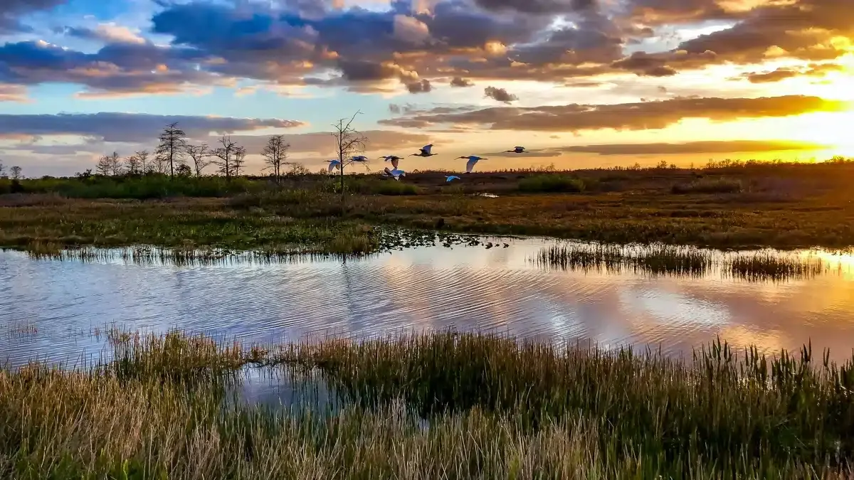 Everglades Sunset and Sunrise Spots