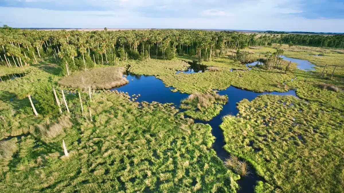 Everglades national park geology