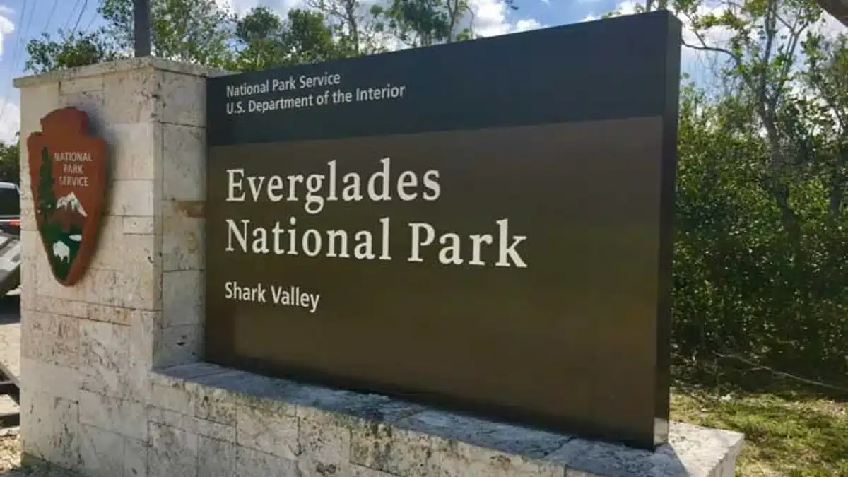 Everglades national park shark valley|Shark Valley Adventure bBiking|Accessibility and Special Needs|Observation deck everglades|Tour Highlights|Ranger Programs|Shark Valley Trails|Tram Tours