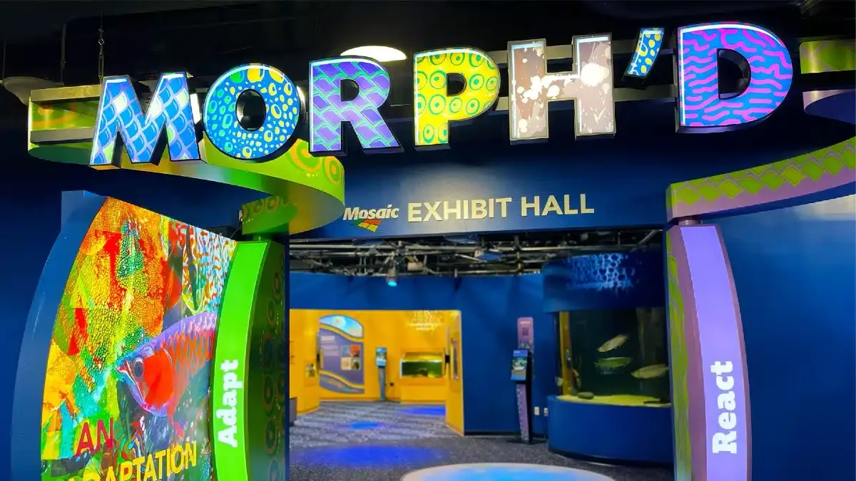 Exhibitions at Florida Aquarium|||TGH Animal Health Care Center|Ocean Decade Exhibition