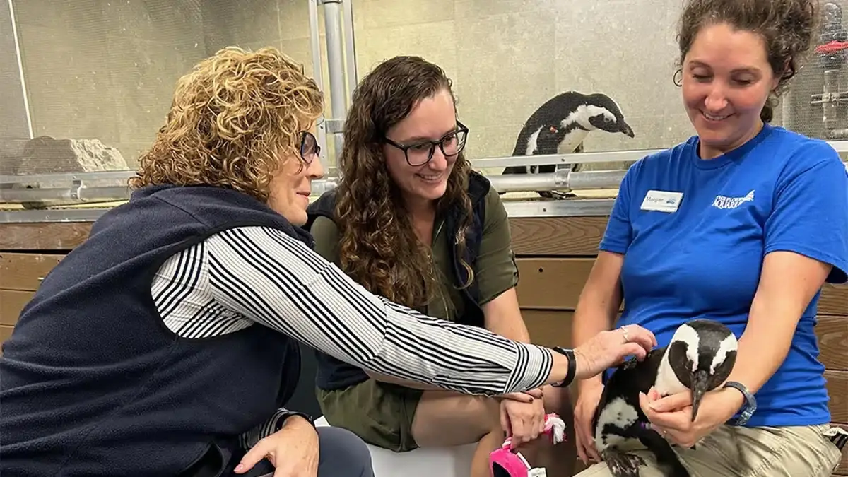 Experiences at Florida Aquarium||Clearwater Marine Aquarium|Cafe Ray