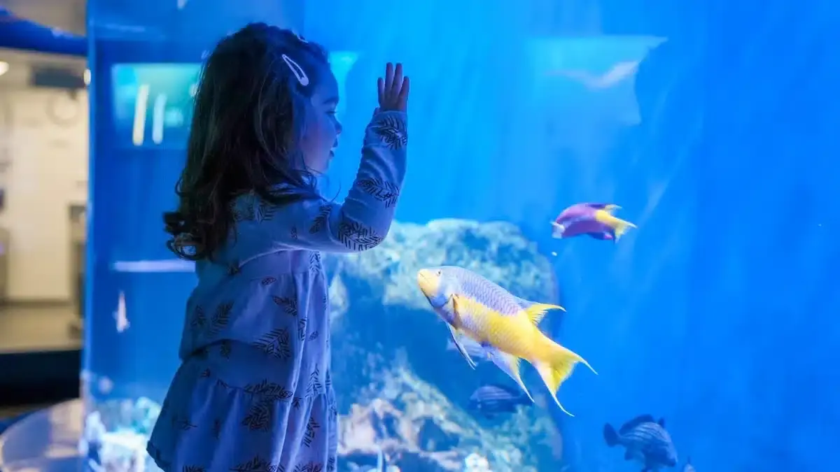 Florida Aquarium Discount Tickets