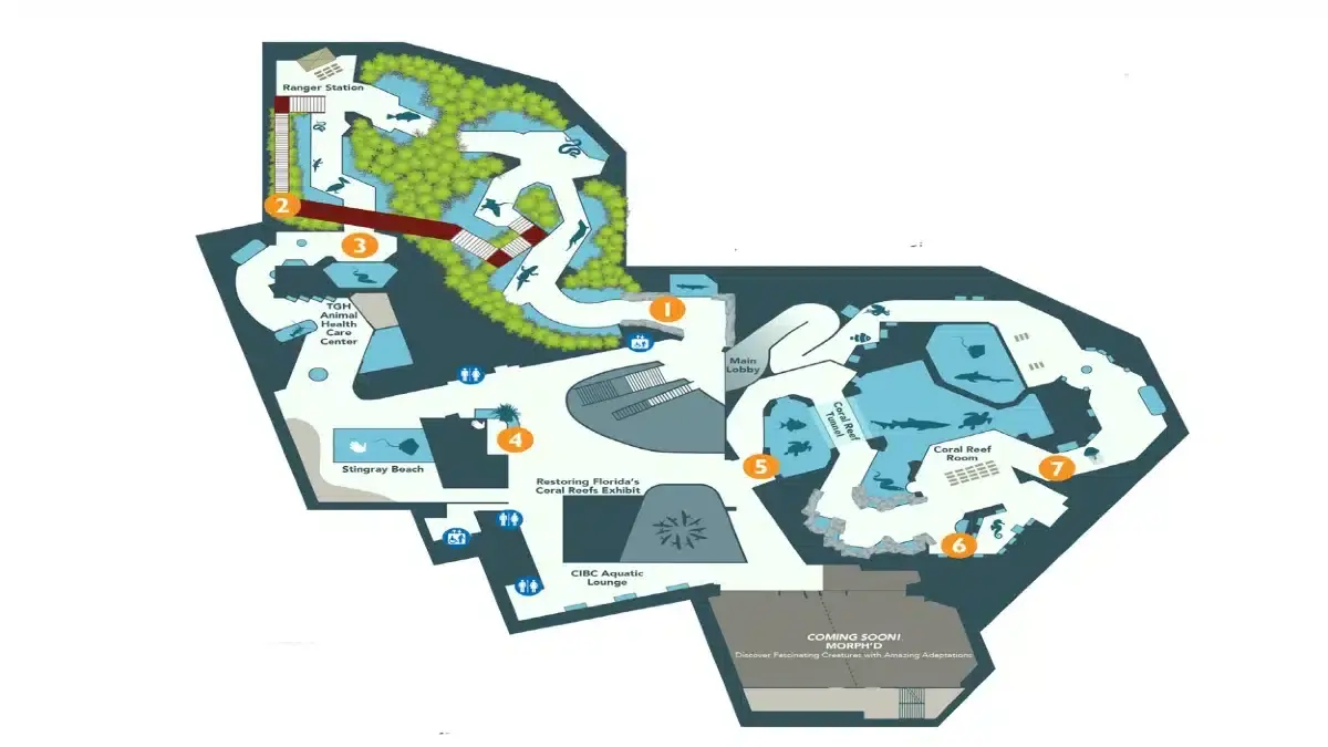 Florida Aquarium map|Attractions|Amenities Offered