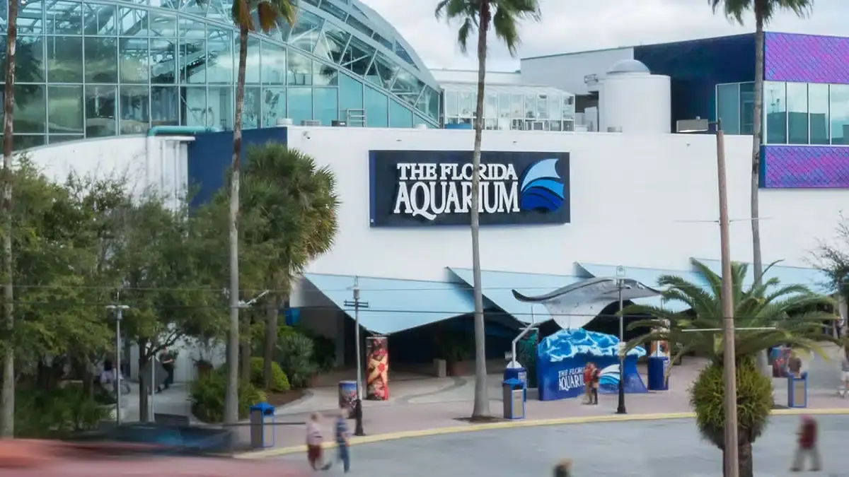 Florida Aquarium|||Entry Ticket|zoo|Dinosaur World + The Aquarium combo Tickets|Florida Aquarium entry ticket |Dinosaur World Florida Aquarium|Tampa City Pass|Best time to visit the Florida Aquarium 