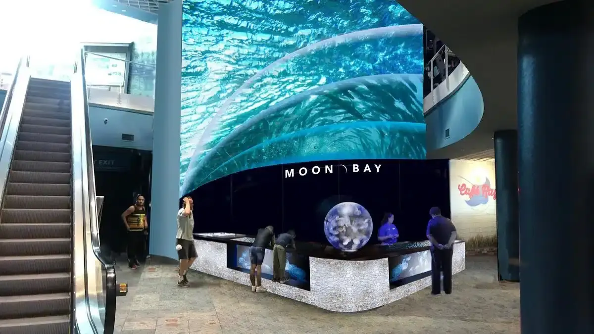 Habitats at Florida Aquarium||Journey to Madagascar|Stingray Beach|