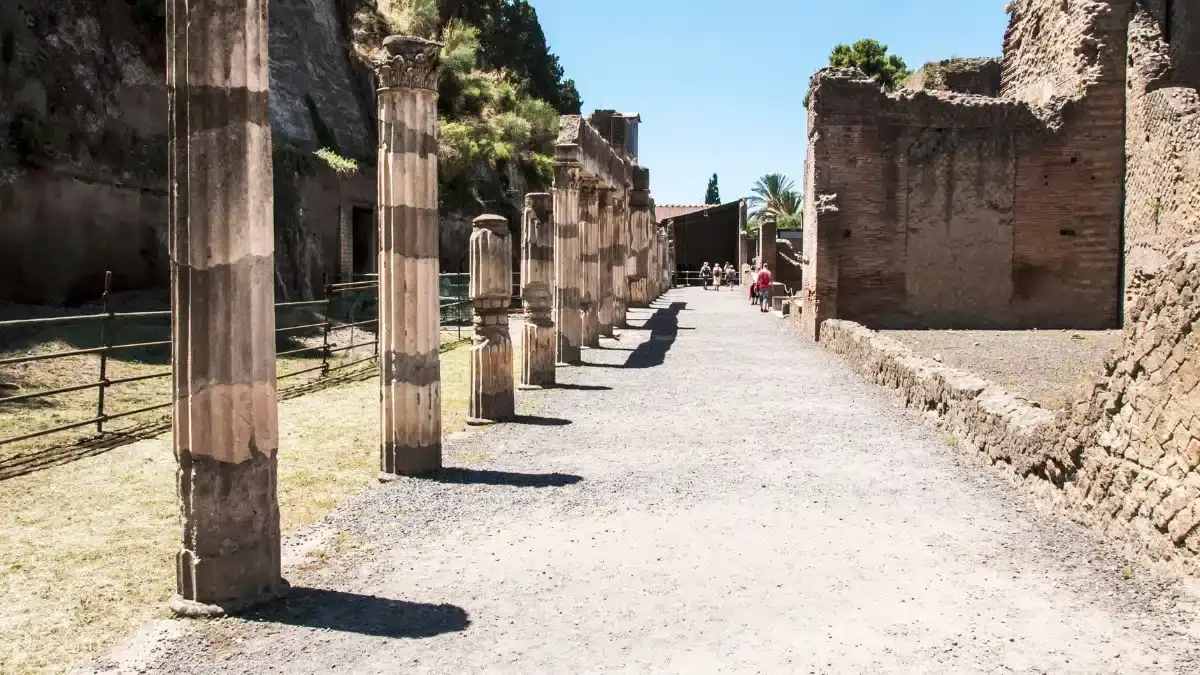 Herculaneum Entrance Ticket