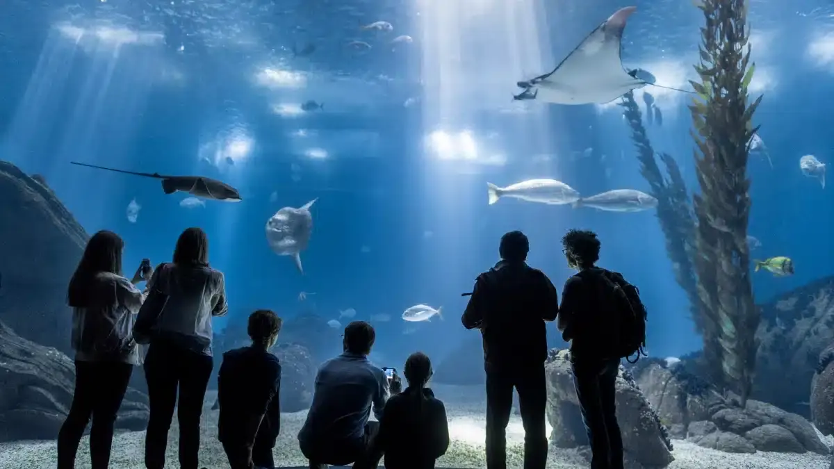 Lisbon Oceanarium Entry Ticket