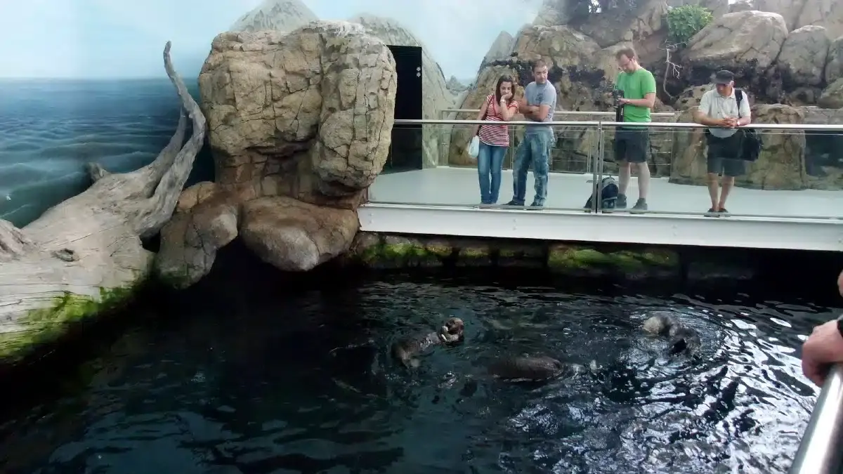 Lisbon Oceanarium Exhibits||