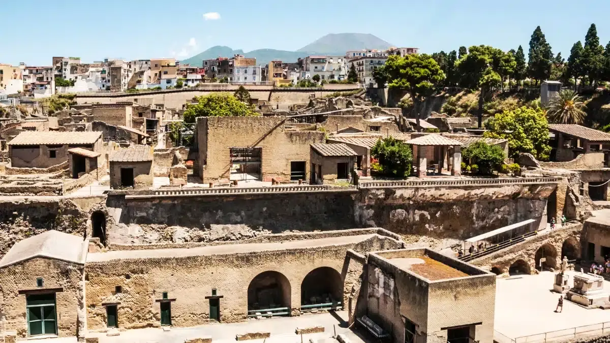 Mount Vesuvius and Herculaneum||||Tickets(1)|ticket(2)|