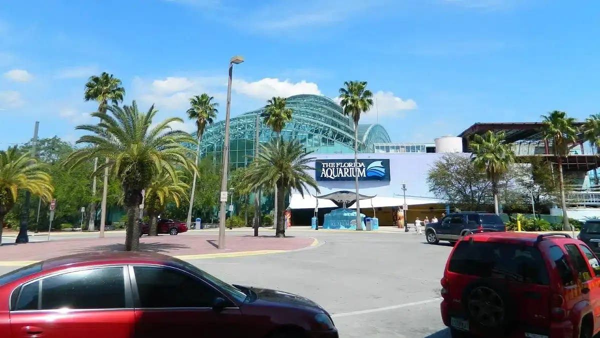 Parking at Florida Aquarium|Florida Aquarium|Florida Aquarium parking