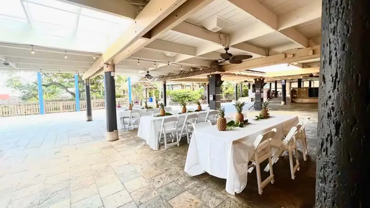 Restaurants near Sea Life Park Hawaii|Original Roy’s Hawaii Kai|DECK Resrurent sea life|Formaggio Grill Kailua|Wolfgang’s Steak House – Waikiki Beach