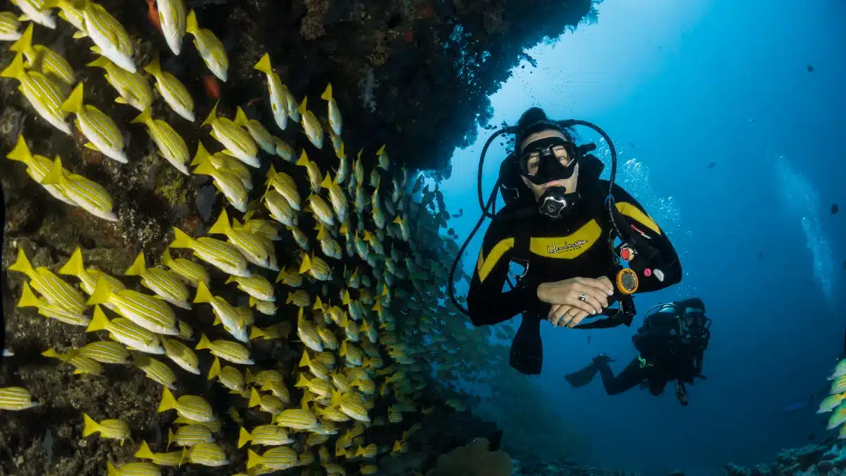 Scuba Diving in Dubai