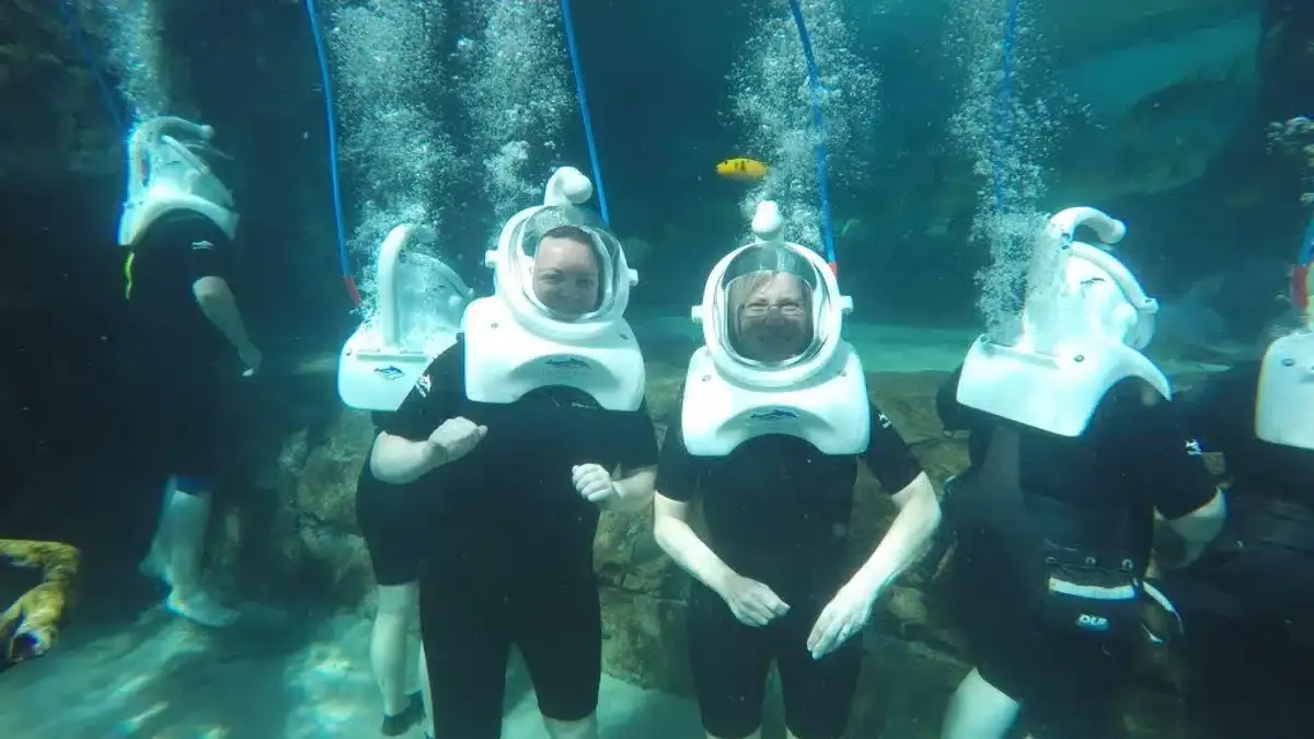 Sea Venture Discovery Cove|