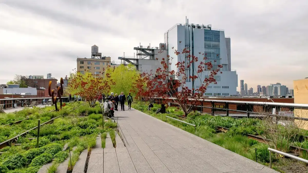 the high line elevated park|City Climb Adventure|High Line Park NYC|Image|Parking near High Line NYC||The Edge Observation Deck|High Park entrances|What to expect at High Line Park