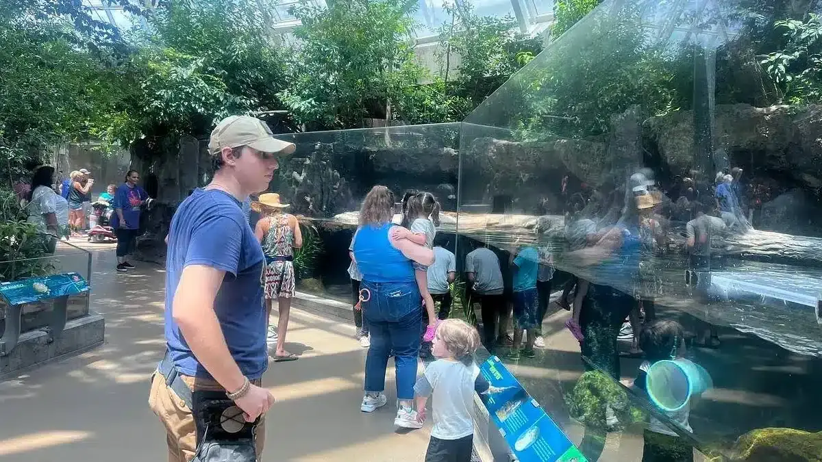 Things to do near Florida Aquarium|SS American Victory|Tampa Bay History Center|Glazer Children's Museum|Florida Museum of Photographic Arts
