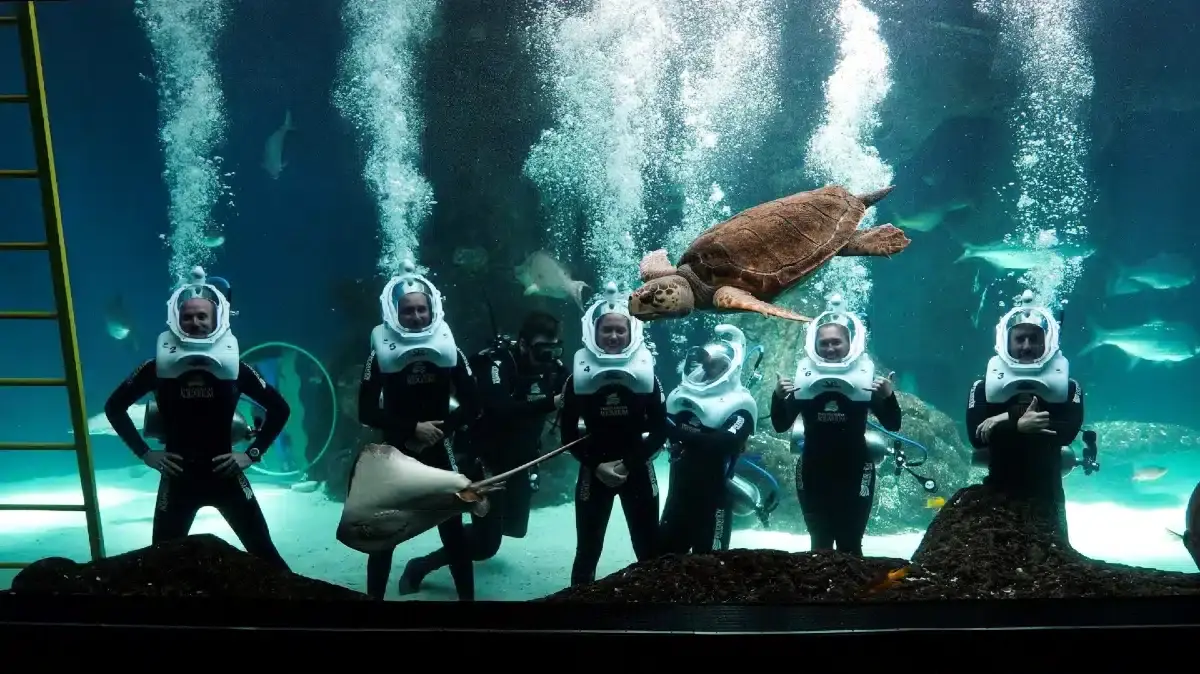 What to see in Florida Aquarium|Journey into the Oceans|Rehabilitation Center|Majestic Sharks and Rays|From Alligators to Pythons|Tomato Frog|Giant Green Anemone|Pot-Bellied Seahorse|Moon Jelly