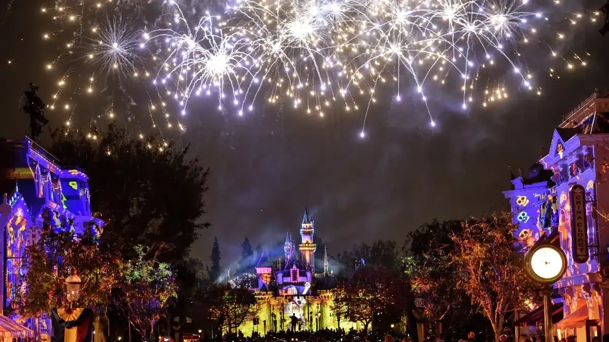 fireworks-in-disneyland-california.webp