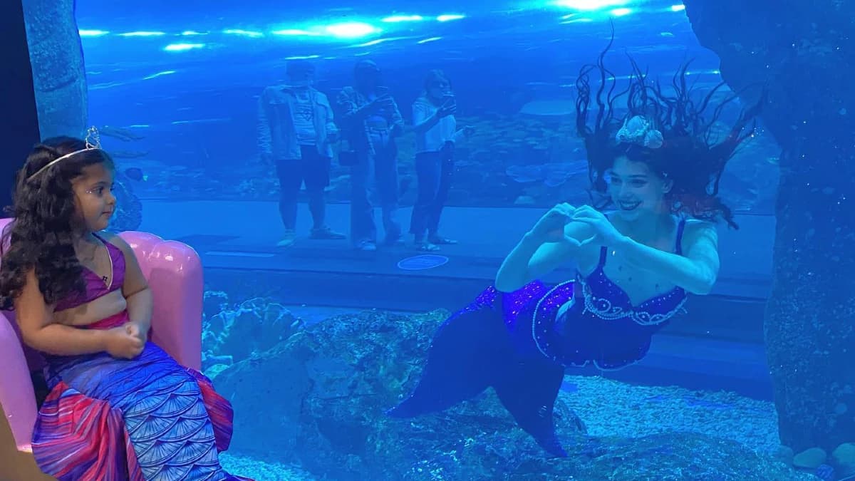 mermaid-in-dubai-aquarium|Mermaid in Dubai Mall Aquarium |Do You Need to Pay to See Mermaids in the Dubai Aquarium
