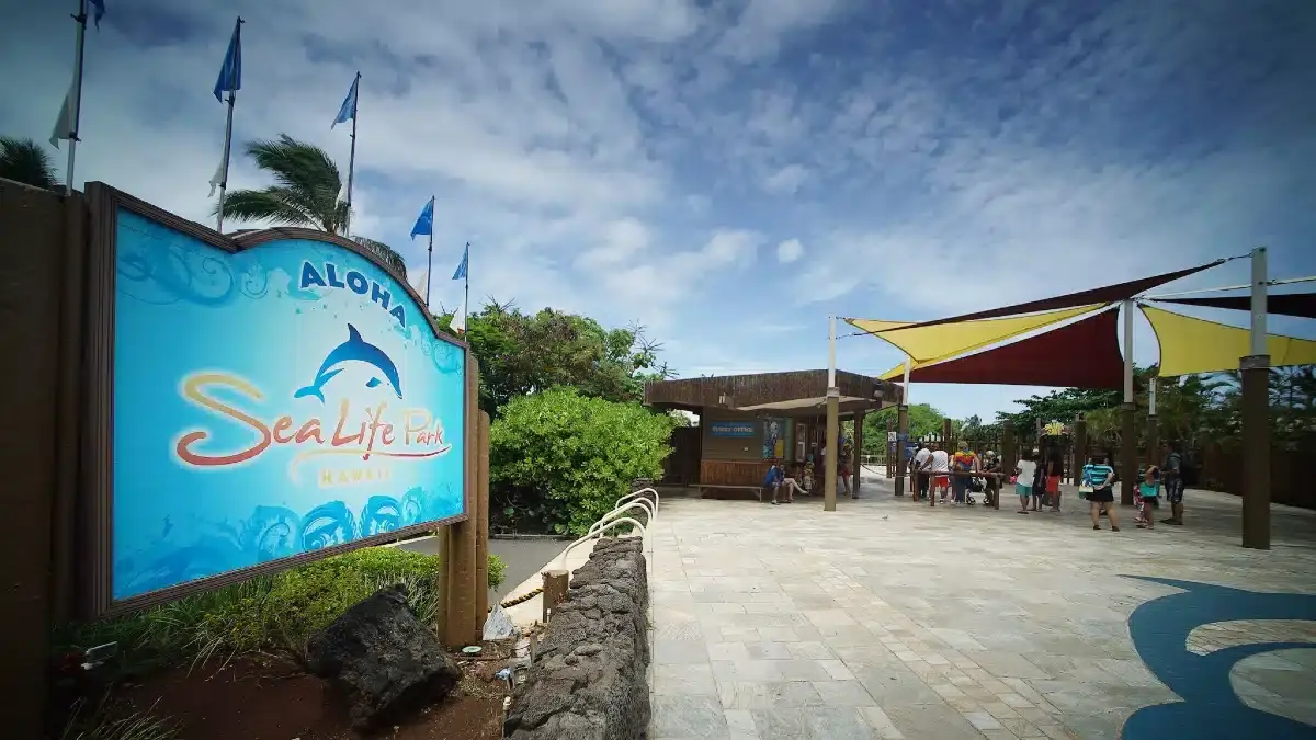 sea life admission tickets
