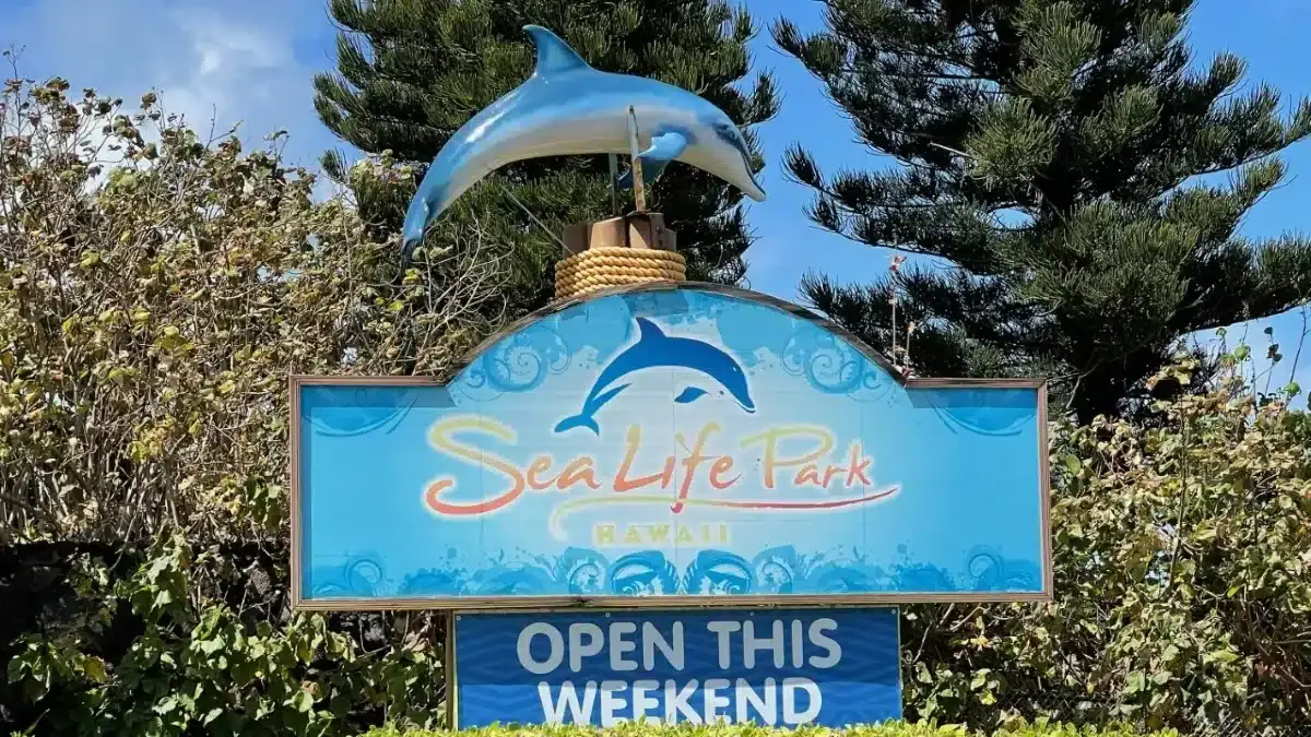 sea life park opening hours