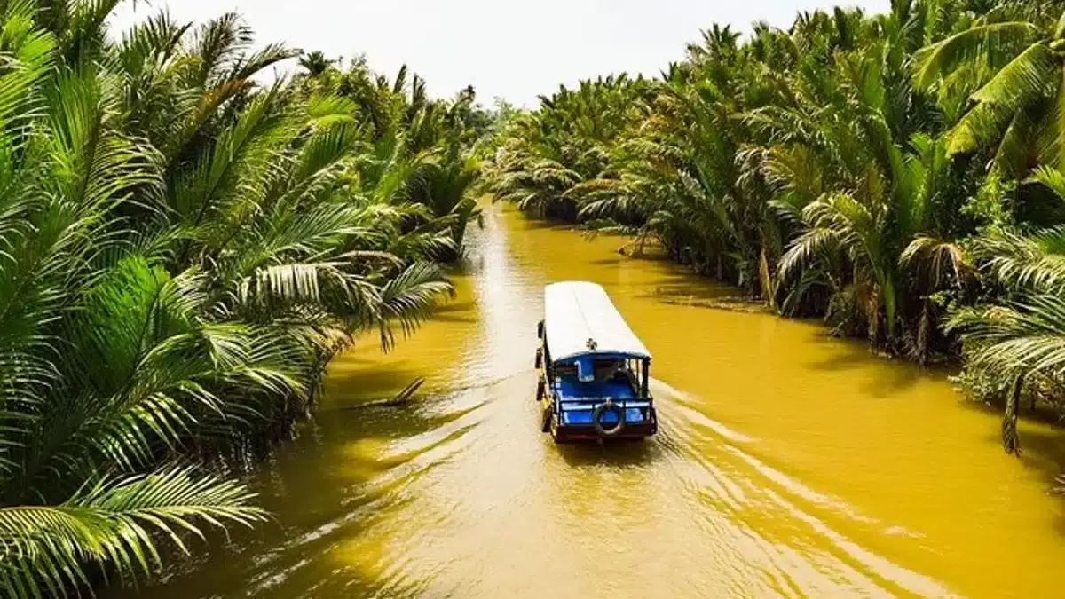 A Detailed Guide to the Cu Chi Tunnels and Mekong Delta Tour|Journey to the Past The Cu Chi Tunnels|