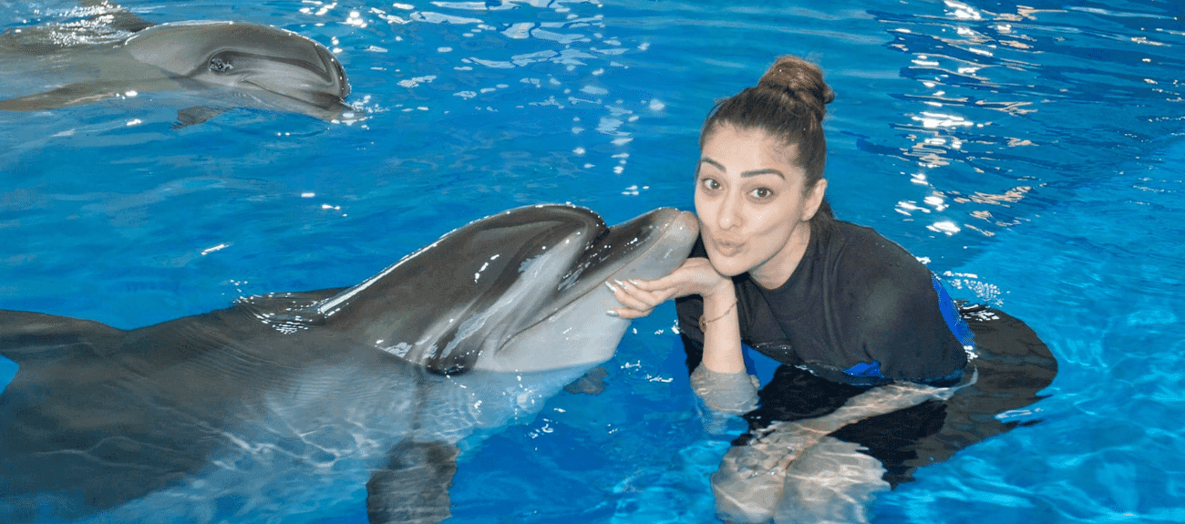 Dolphinarium in Dubai|Dubai Dolphinarium