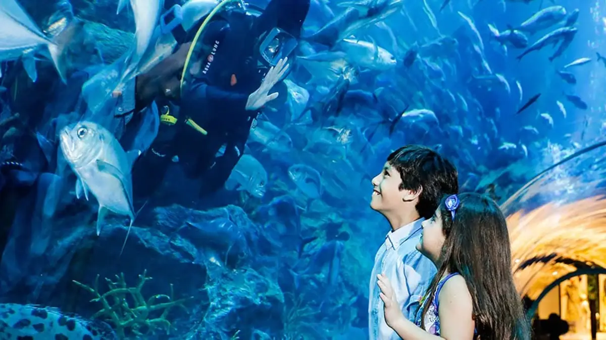 Dubai-mall-aquarium-ticket