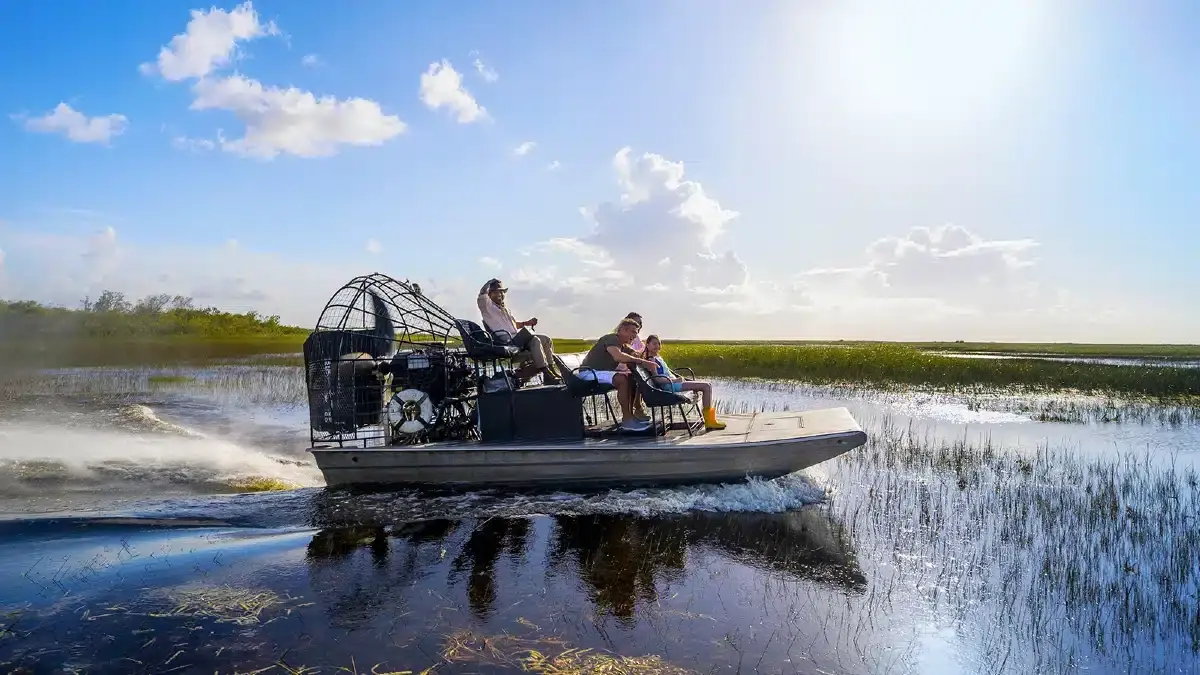 Everglades National Park Airboat Tour and Wildlife Show