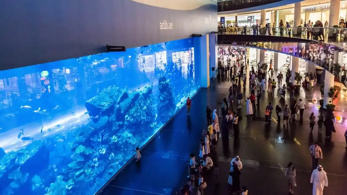 dubai-aquarium-combo-tour|